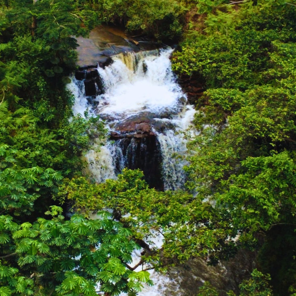 La chute de Lékabi