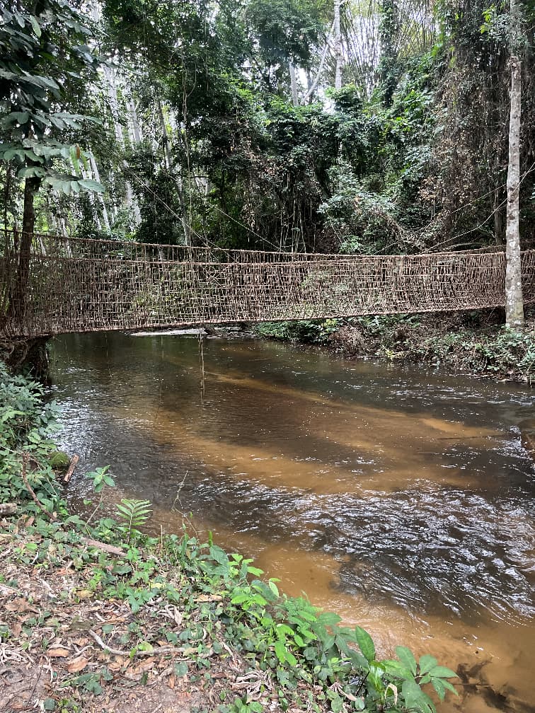 Pont en liane de Lékabi
